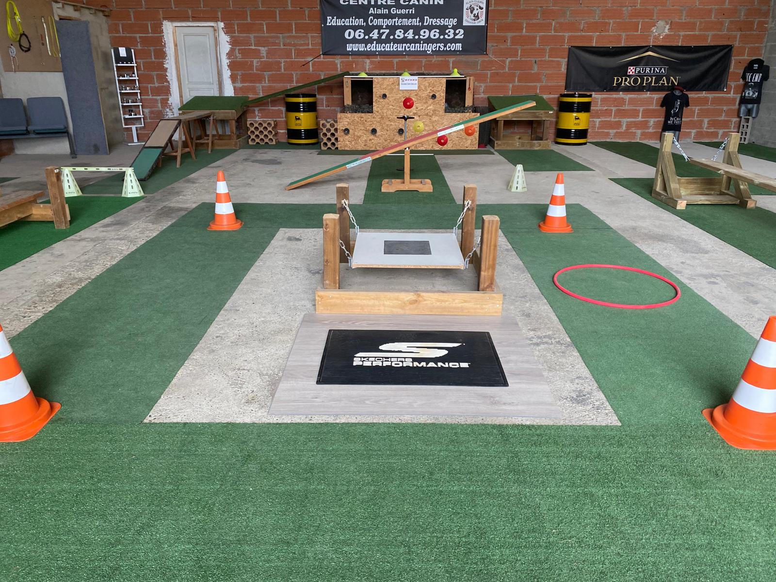 local de Alain guerri à Pavie dans le gers. On y vois des agrés pour les chiens